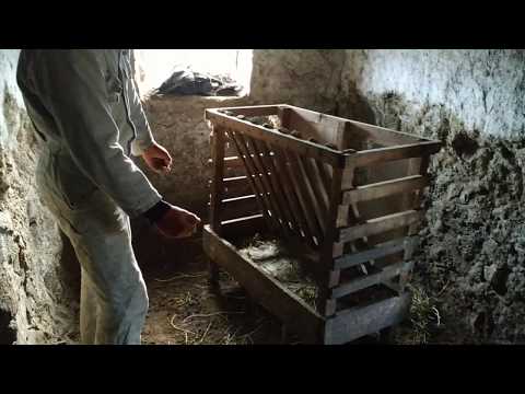 Видео: Кормушка для овец и коз, самые эффективные и простые