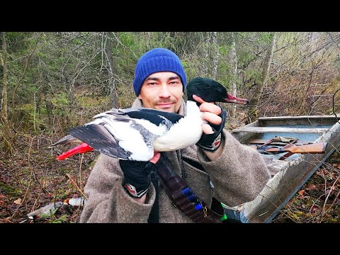 Видео: ОХОТА НА УТКУ/ ЭТА УТКА ЕСТ МЫШЕЙ И РЫБУ. ОТКРЫТИЕ НА ВОДОПЛАВАЮЩУЮ ДИЧЬ 2021. Промысел в тайге.