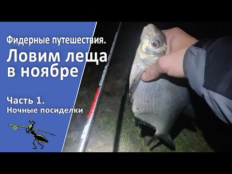 Видео: Рыбалка на фидер в ноябре. Фидерные путешествия. Часть 1. Ночные посиделки