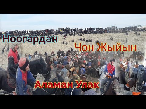 Видео: Аламан Улак 15-январь🇰🇬 Кадамжай р/ну Ноогардан айылы 1 бөлүм