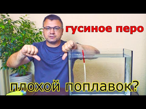 Видео: Поплавок гусиное перо, так ли он хорош? Поплавок из гусиного пера. Как работает поплавок.