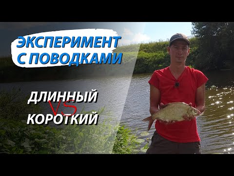 Видео: Рыбалка на два фидера. Эксперимент с длиной поводка. Длинный поводок против короткого.