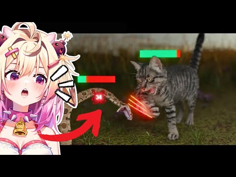 Видео: Как кошки сломали игру | реакция rosiebellmoo на TierZoo