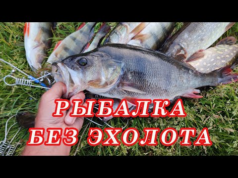 Видео: Рыбалка Без Эхолота В жару! Ловлю Щуку На спиннинг на ПРОСТУЮ ВЕРТУШКУ!