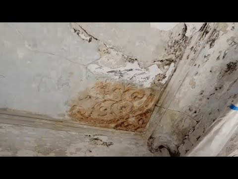 Видео: День 2. Почин и козлики. Теперь это - "Барочные кущи"!