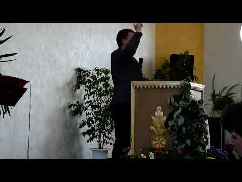 Видео: Александр Заводевкин ц.Слово Жизни г.Хотимск жатва 2021