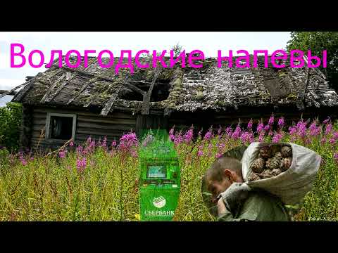 Видео: Мошенник! Хватит разводяг - тобой займется здесь моряк.