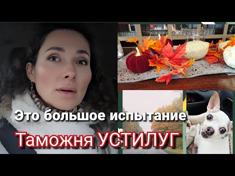 Видео: 24 октября 2025 г.🚗В долгий путь/Прохождение🛃таможни Устилуг-🙀пытка/🙌Гостиница с животными #устилуг
