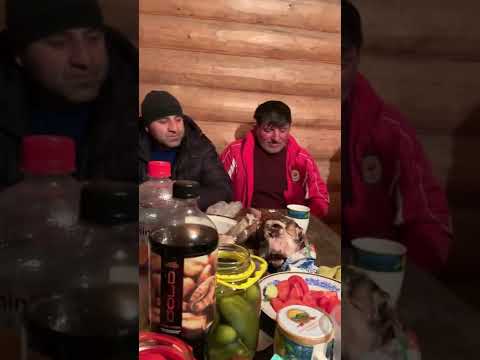 Видео: Храмой Ражбадин вождь Аварских вольных обществ ⚔️БИ ЦО БО ЦО⚔️