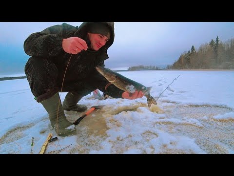Видео: ПЕРВЫЙ ЛЁД! ОСТАВИЛ САМОЛОВКИ НА 2 НОЧИ. ОТКРЫЛ СЕЗОН ПО ЗУБАСТОЙ.