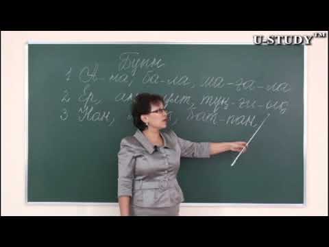 Видео: ҰБТ-ға дайындық:  Буын