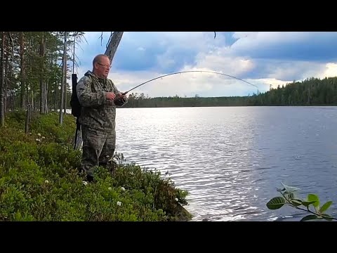 Видео: Знакомство с новым озером. Ищем рыбу.