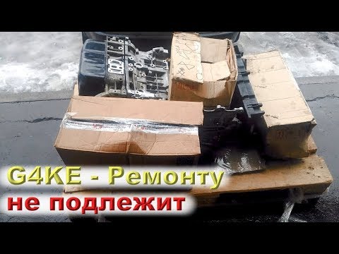 Видео: Дайте бумагу с печатью - ЧТО МЫ СДЕЛАЛИ НЕ ТАК!!