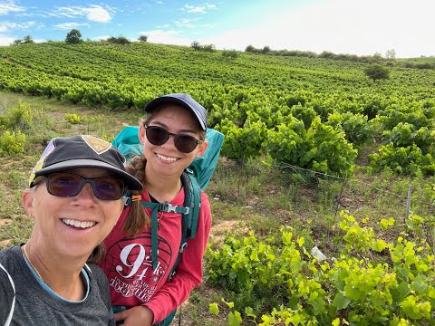 Видео: Путь Сантьяго 2022. День 24. Понферрада — Виллафранка-дель-Бьерсо 4K