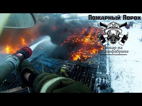Видео: Большой пожар на птицефабрике. Пожарный Порох снял на экшн камеру.