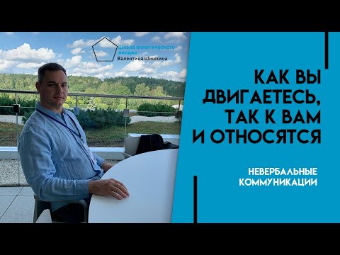 Видео: Как вы двигаетесь, так к вам и относятся. Лучшие моменты из эфиров Валентина Шишкина.