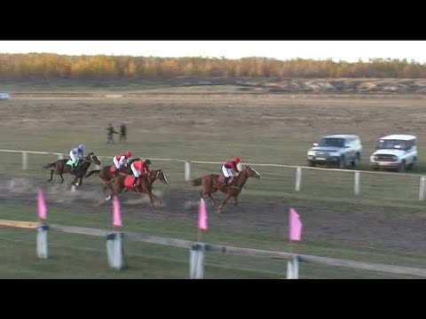 Видео: Ат сүүрдүүтэ Ытык-Күөл Таатта улууһа 2010