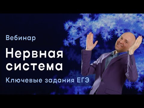 Видео: Вебинар о нервной системе человека