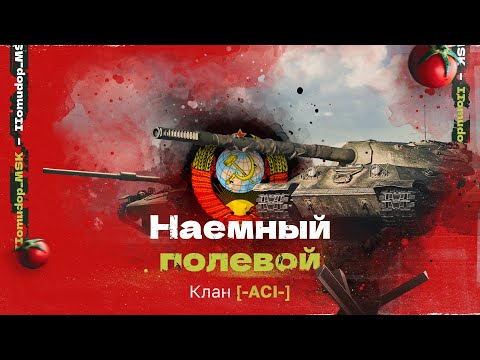 Видео: Помидор - наемный полевой -ACI-