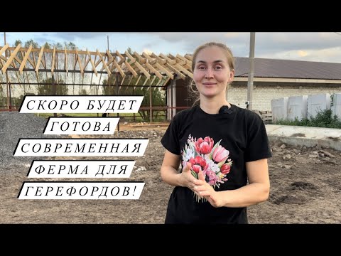 Видео: Строим новый навес для Быков! Еще один теленок у Герефордов! Все телята убежали, осенние гулянья!