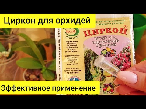 Видео: ЦИРКОН для орхидей || ДОЗИРОВКА циркона для орхидей || УСЛОВИЯ для ЭФФЕКТИВНОГО применения циркона