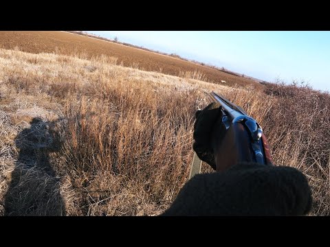 Видео: НЕ ПОЛУЧИЛОСЬ ОБМАНУТЬ! КРАСИВЫЙ МОМЕНТ!