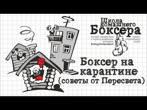 Видео: Боксер на карантине // советы от Пересвета