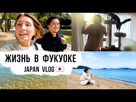 Видео: Жизнь у моря в Японии. Наш новый стиль жизни с переездом в японскую провинцию