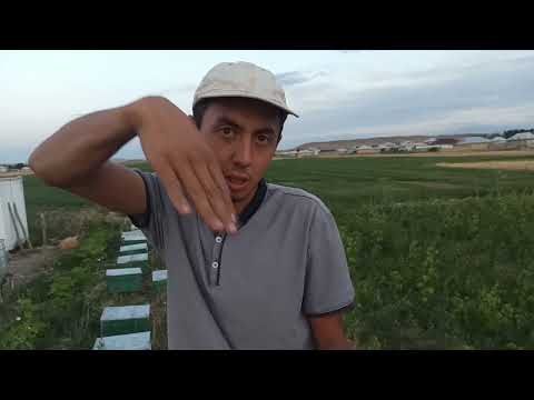 Видео: Суу чыгаруунун эң мыкты жолу.Гидро уровенде бир өмүргө суу болот...