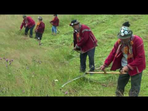 Видео: Ясінські косарі-2017.