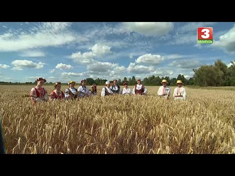 Видео: Абрад "Зажынкі" (в.Бярозаўка Калінкавіцкага раёна)