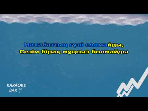 Видео: Ерке Есмахан - 1001 күн (караоке, текст, минус)