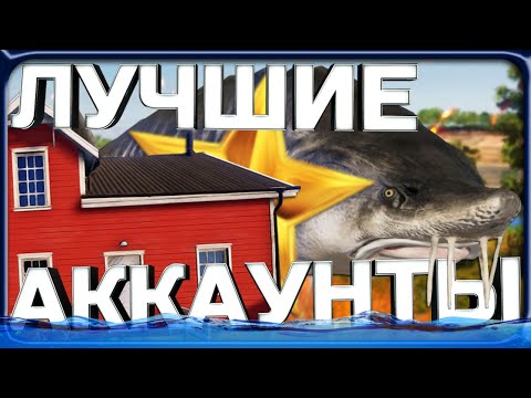 Видео: ЛУЧШИЕ ИГРОКИ В РР4 С НЕВЕРОЯТНЫМИ ТРОФЕЯМИ #2!
