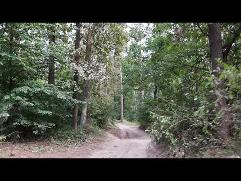 Видео: КАК НАЧАТЬ ПРОДАВАТЬ ФИАЛКИ??? Бизнес на растениях.