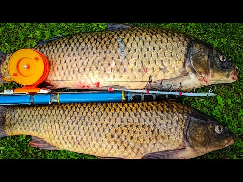 Видео: БОКОВОЙ КИВОК покоряет СЕЗОН КАРПА, Сазан на летний кивок, Ловля карпов, Ловля на удочку, Сазан
