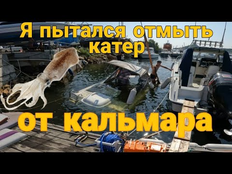 Видео: Вечером лакедра на Верховских. Ночью полные ведра  кальмара на Языке