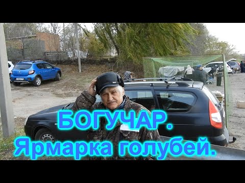 Видео: Богучар, ярмарка голубей