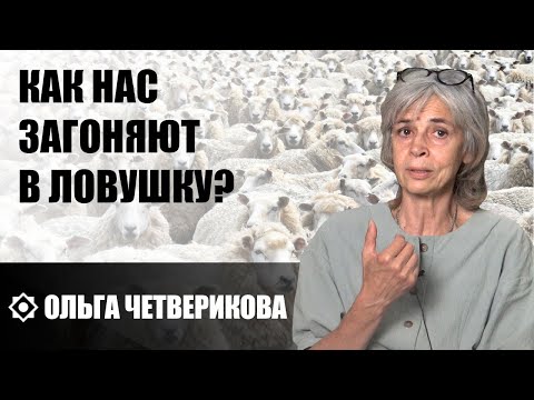 Видео: Четверикова О.Н "Как нас загоняют в ловушку?" 2023-09-12