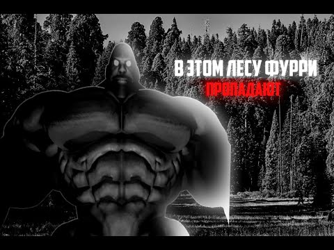 Видео: В ЭТОМ ЛЕСУ ФУРРИ ПРОПАДАЮТ!!! МГЕ СТРАШИЛКА