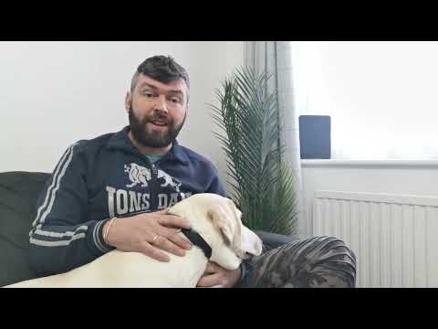 Видео: Ответы на вопросы подписчиков! Поиск работы, визы и многое другое