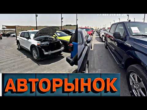 Видео: Авторынок Дубай. Cars | Авто подбор Дубай  [263]