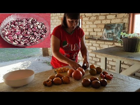 Видео: Чи буде квасоля в цьому році? Закохалася в "Медову краплю"!