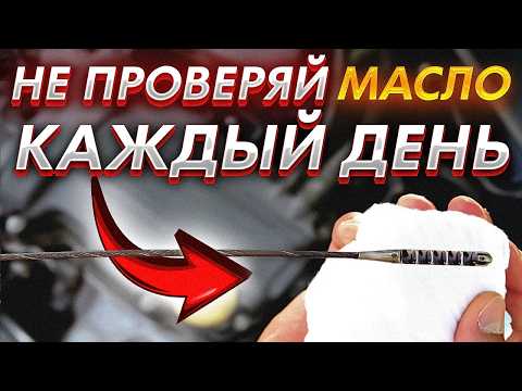 Видео: НИКОГДА НЕ ПРОВЕРЯЙ масло каждый день - Что произойдет?