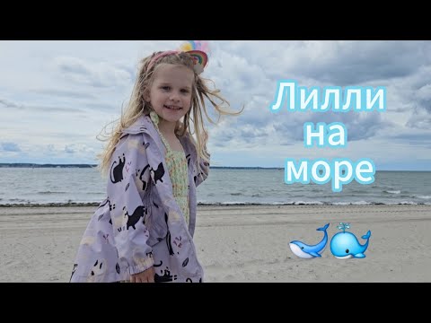 Видео: Лилли на море: что-то здесь не так