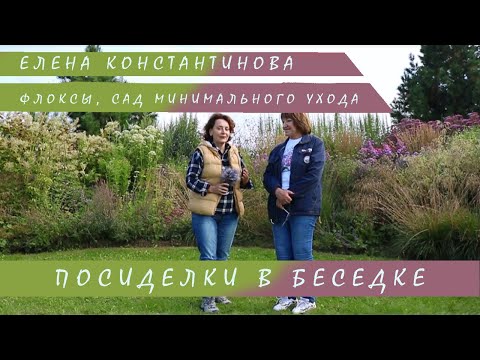 Видео: Посиделки в Беседке l Елена Константинова