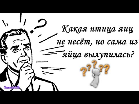 Видео: 20 Загадок с Подвохом, Чтобы Размять Мозги