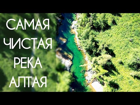 Видео: Путешествие на АЛТАЙ/Самая красивая река Алтая/Девичьи плесы/Старая шахта/Рыбалка на реке КУМИР #3