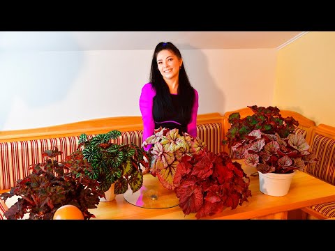 Видео: Прямой эфир 8.01.2023  19-00