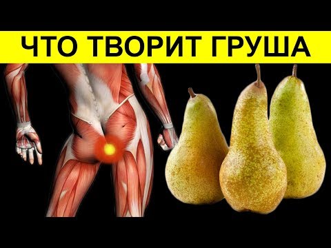 Видео: Даже одна ГРУША вызывает НЕОБРАТИМЫЙ процесс в организме. Польза и вред груши