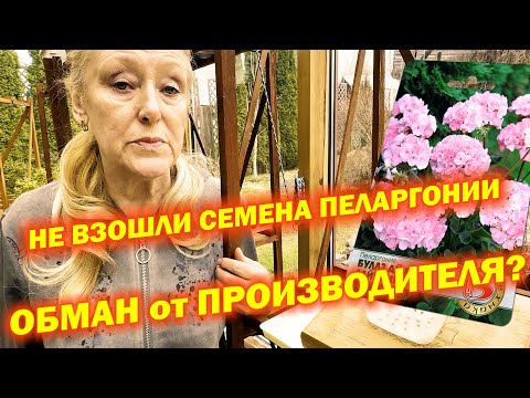 Видео: Качество семян или недостаток знаний? Секрет 100% всхожести.